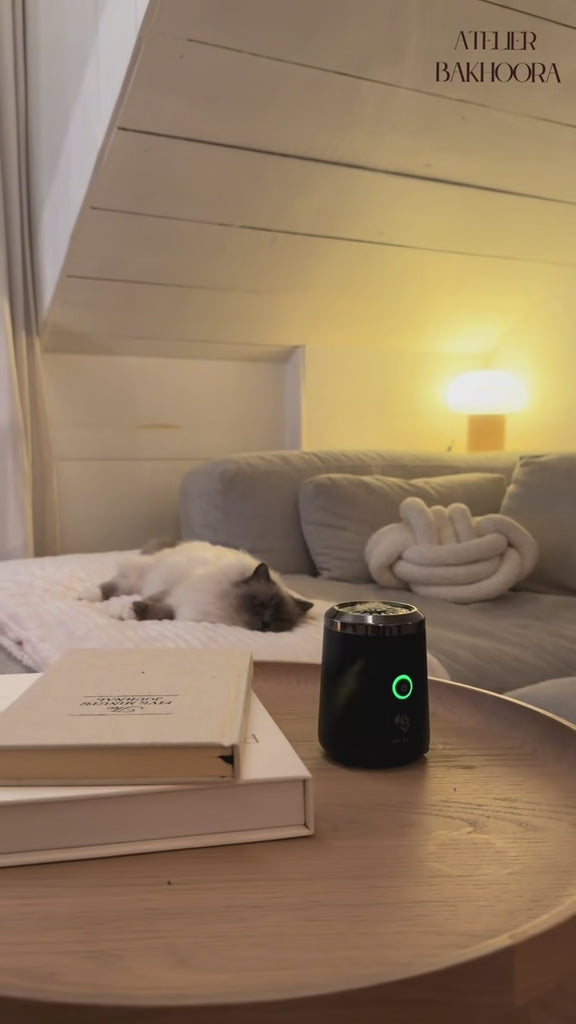 Diffuseur d'encens électrique